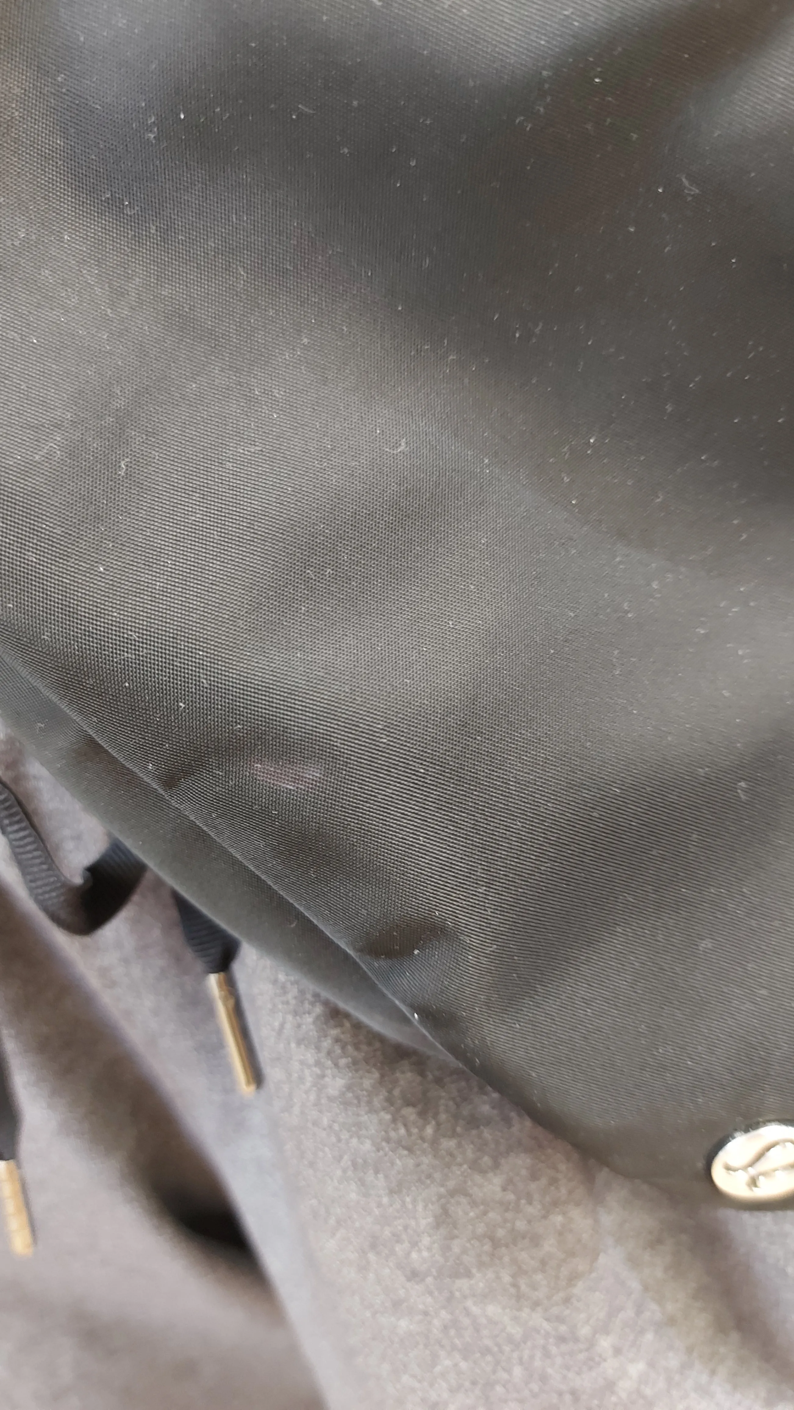 Lululemon Everywhere Belt Bag