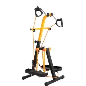 Master Gym