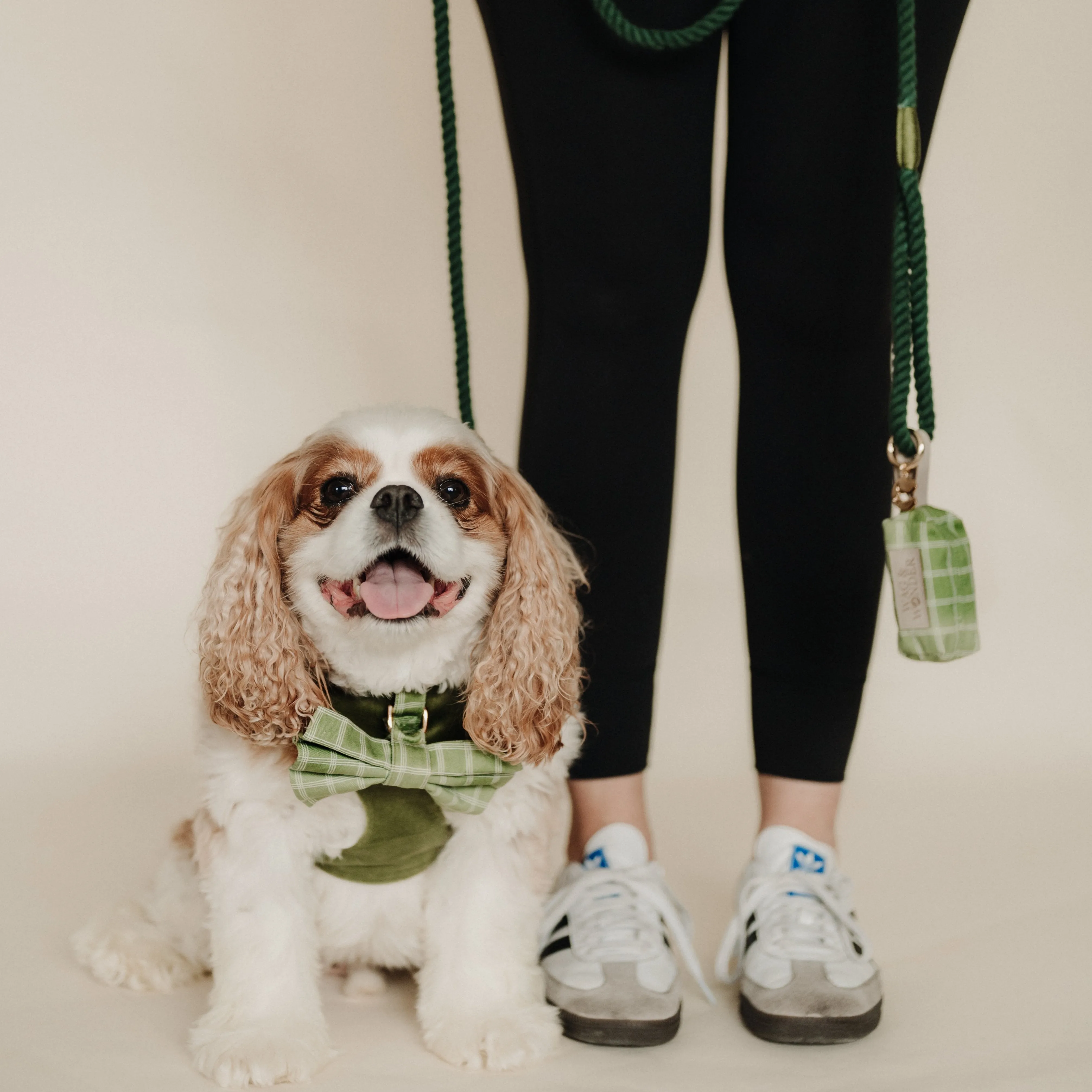 Meadow Reversible Dog Harness   Bow Tie Walk Set