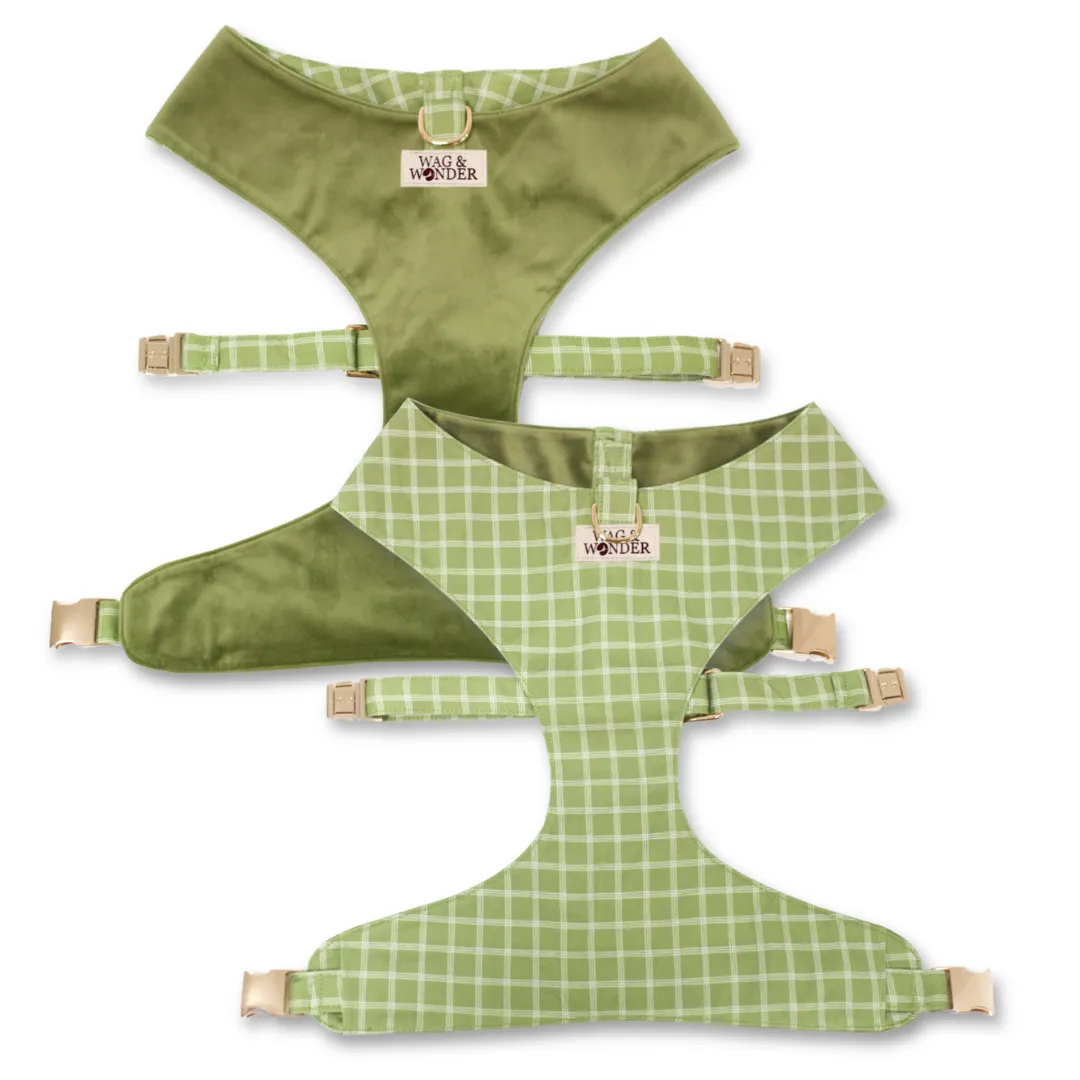 Meadow Reversible Dog Harness   Bow Tie Walk Set
