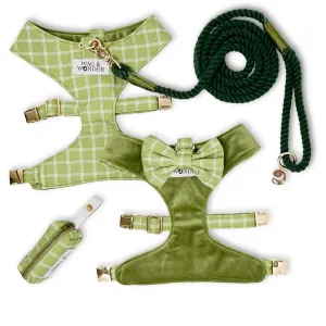 Meadow Reversible Dog Harness   Bow Tie Walk Set