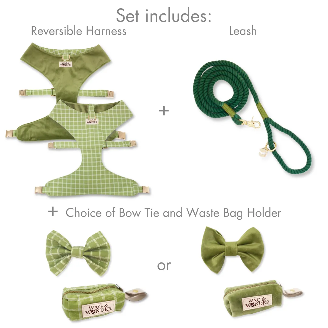 Meadow Reversible Dog Harness   Bow Tie Walk Set