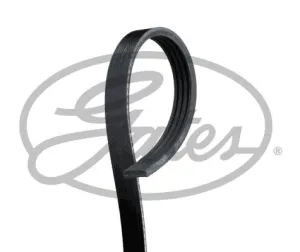Multi-V Belt (5PK1255) [Motopart]