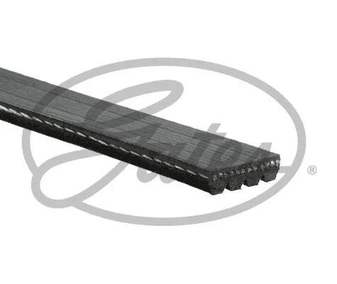 Multi-V Belt (5PK1255) [Motopart]