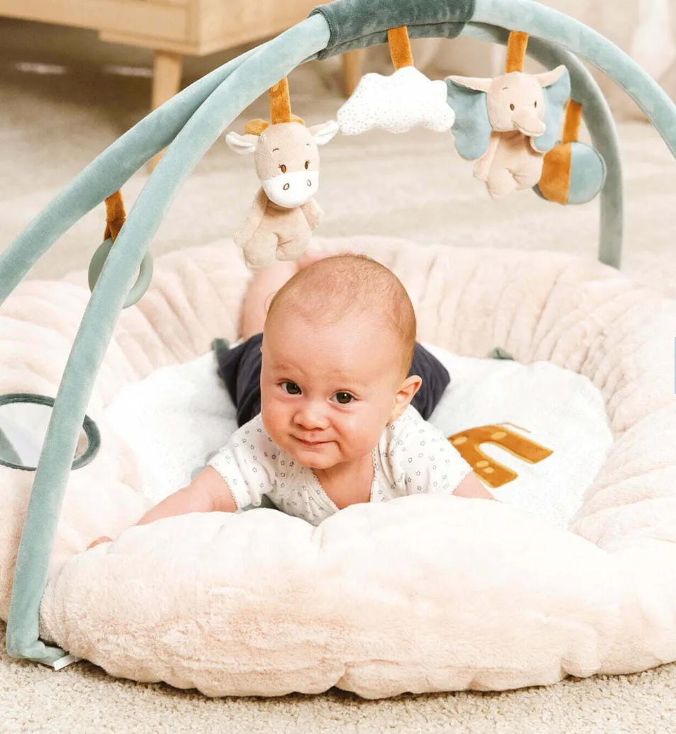 Nattou's Play Mat  Luna & Axel