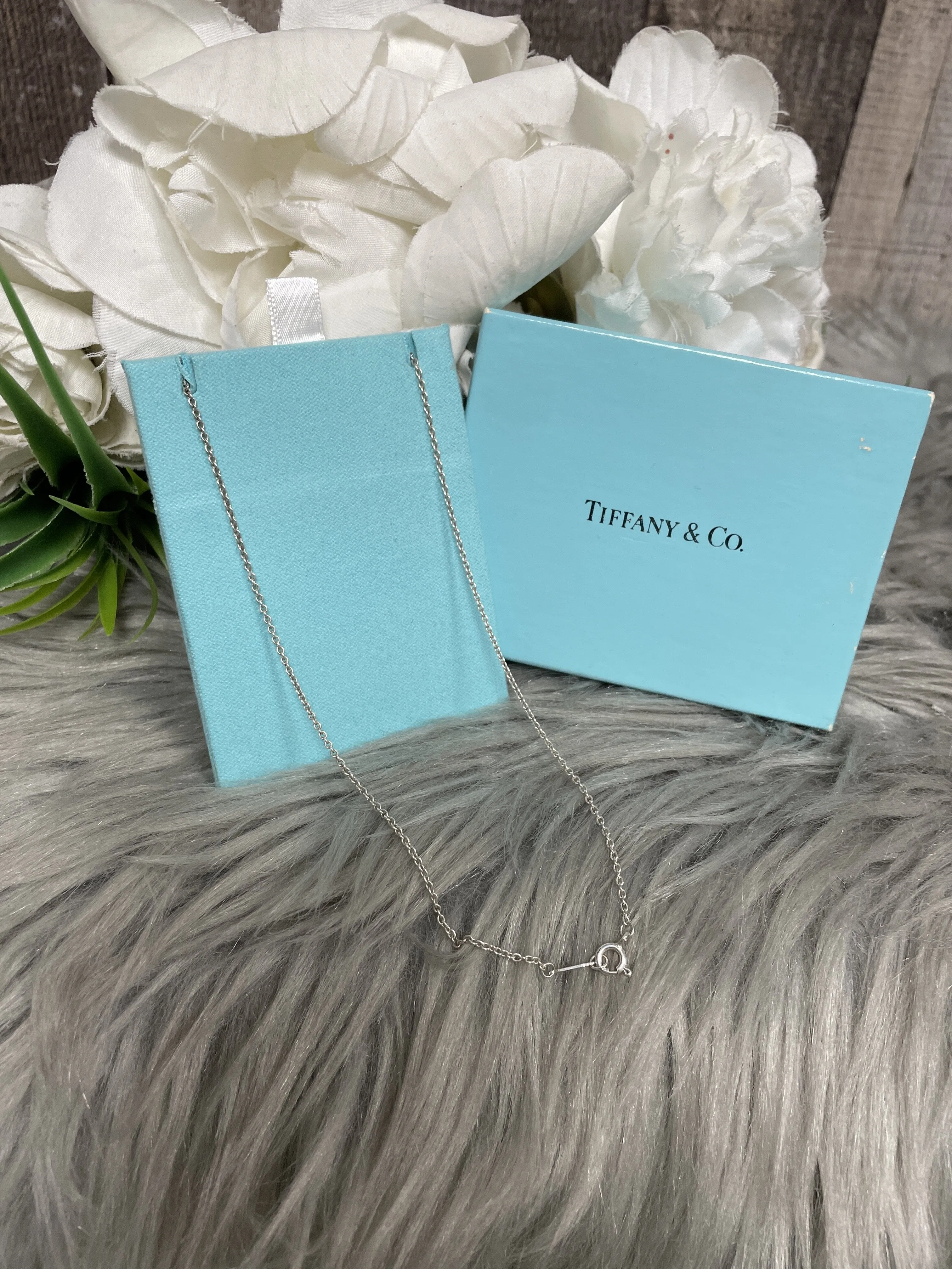Necklace Luxury Designer By Tiffany And Company