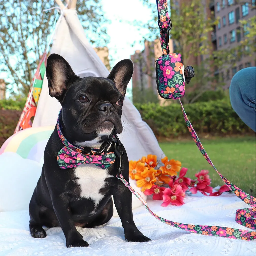 Patterns And Shades: Bow Collar, Leash And Poop Bag Pack