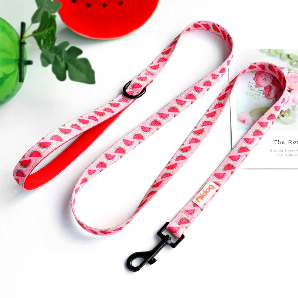 Patterns And Shades: Bow Collar, Leash And Poop Bag Pack