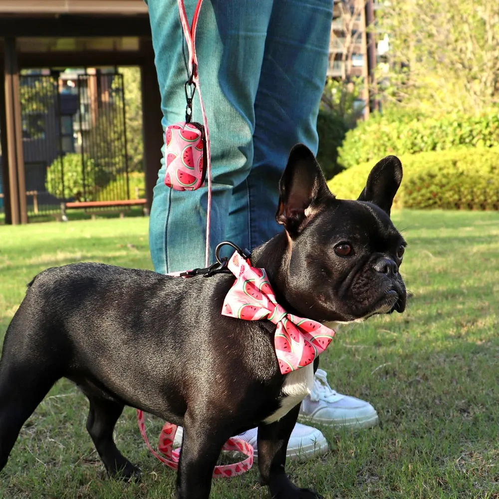 Patterns And Shades: Bow Collar, Leash And Poop Bag Pack