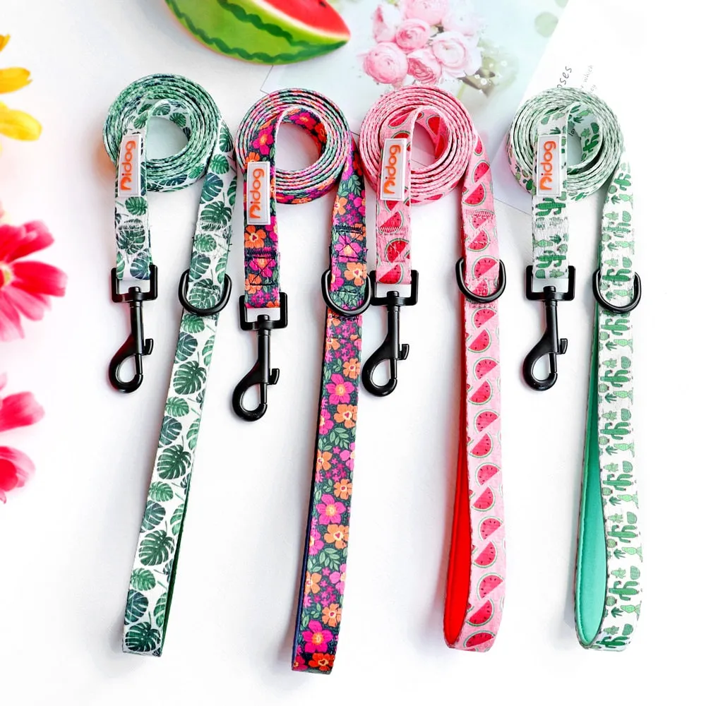 Patterns And Shades: Bow Collar, Leash And Poop Bag Pack