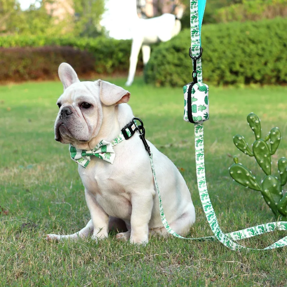Patterns And Shades: Bow Collar, Leash And Poop Bag Pack