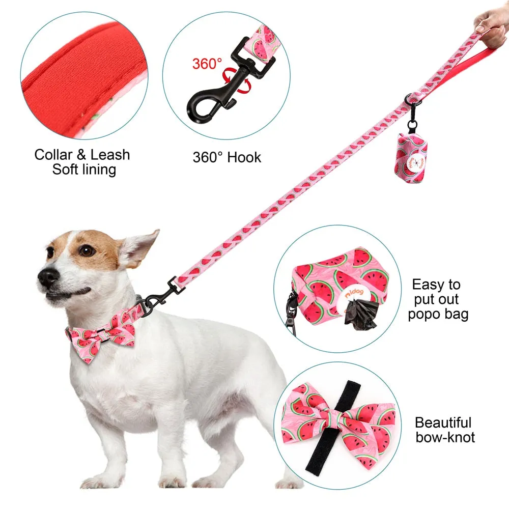Patterns And Shades: Bow Collar, Leash And Poop Bag Pack