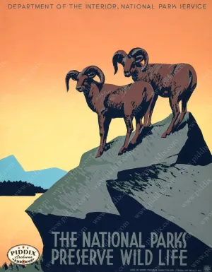 PDXC2402 -- Vintage Travel Posters