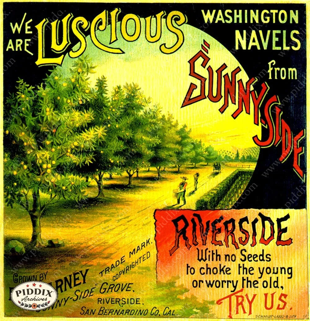 PDXC7281 -- Vintage Travel Posters