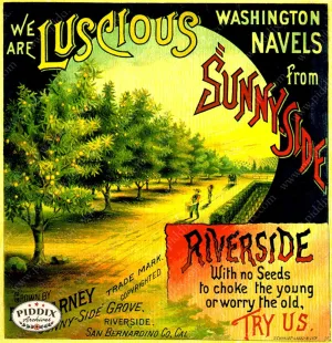 PDXC7281 -- Vintage Travel Posters