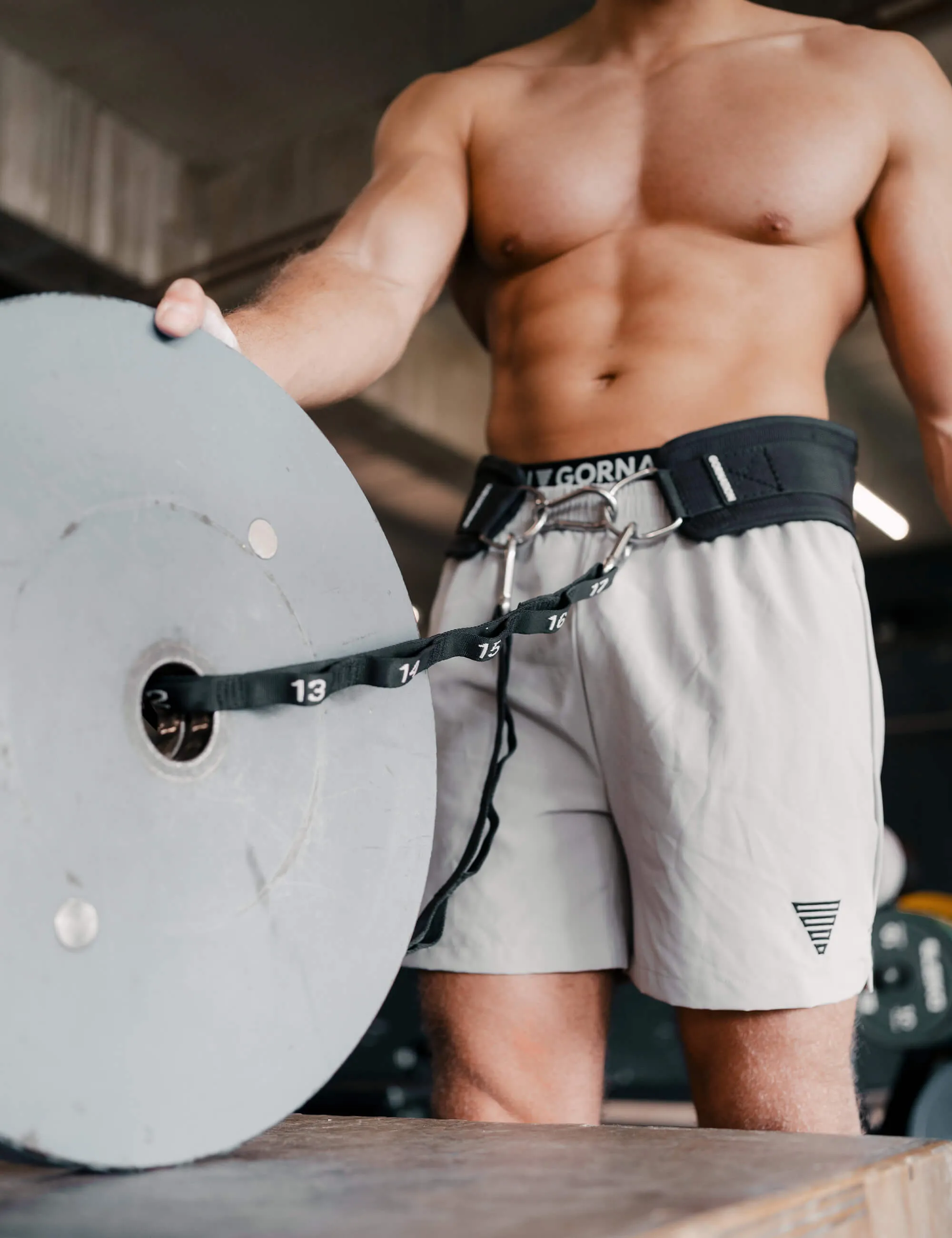 Premium Dip Belt