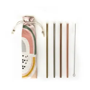 Prism Reusable 6 Piece Straw Set