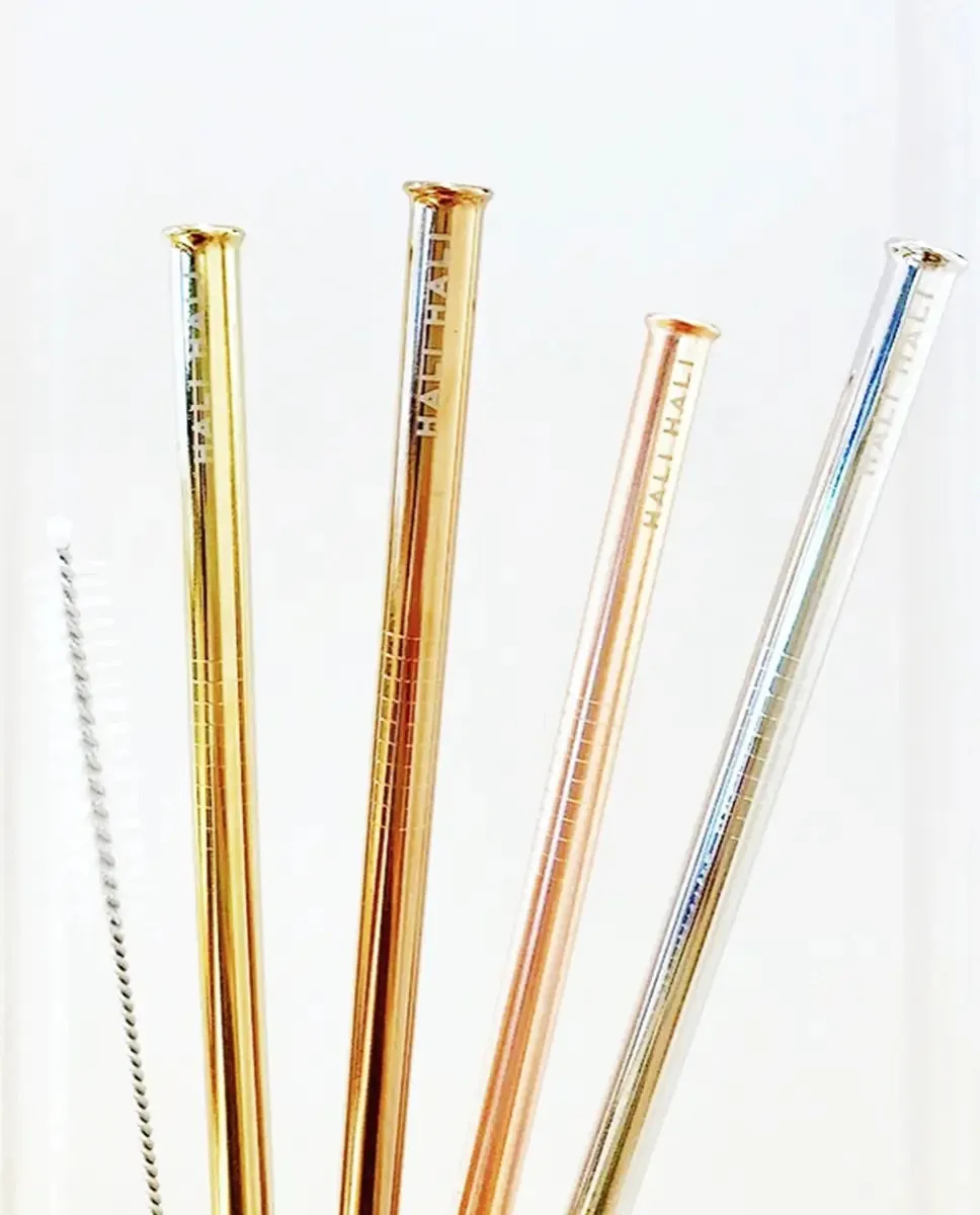 Prism Reusable 6 Piece Straw Set