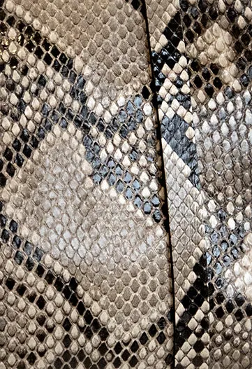 Python Holster Bag