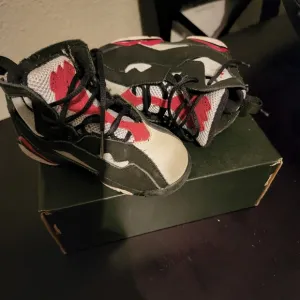 Retro Jordan 6