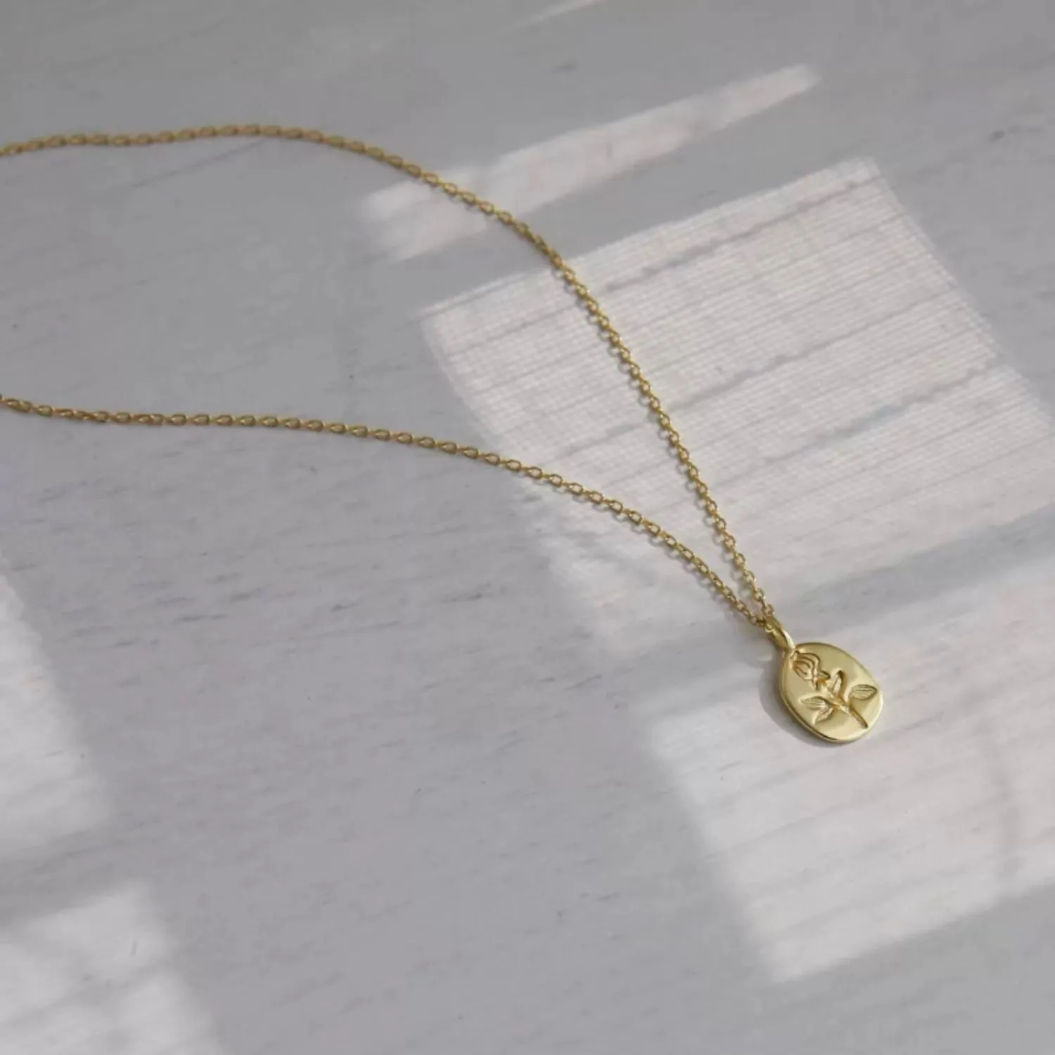 Rose Coin Necklace (Solid Silver) - Vicky