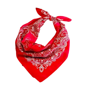 Rotes Paisley Bandana