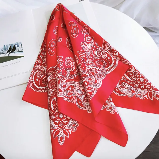 Rotes Paisley Bandana