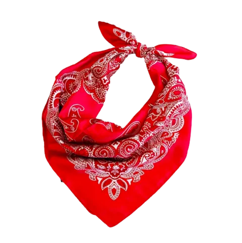 Rotes Paisley Bandana