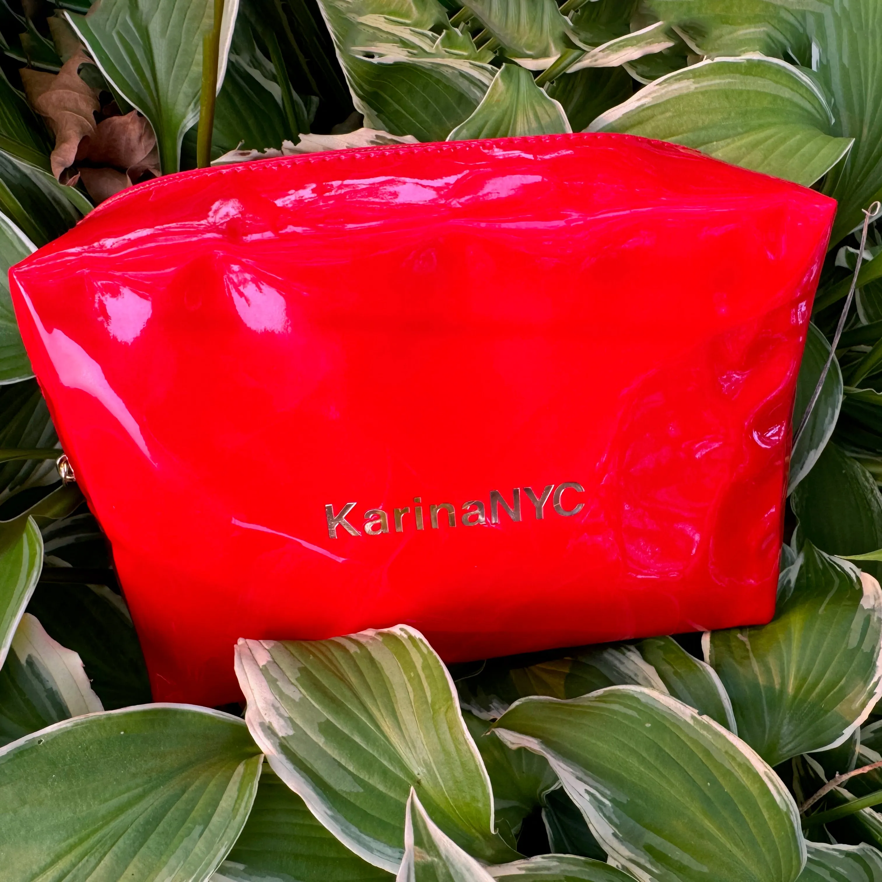 Ruby Red Brag Bag