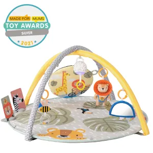 Savannah 360 Activity Gym