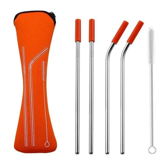 Silicone Tip Reusable Straw