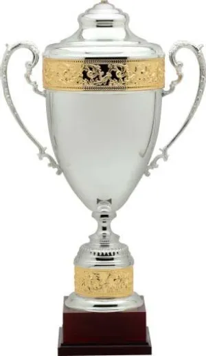 Silver Premium Cup