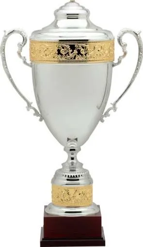 Silver Premium Cup