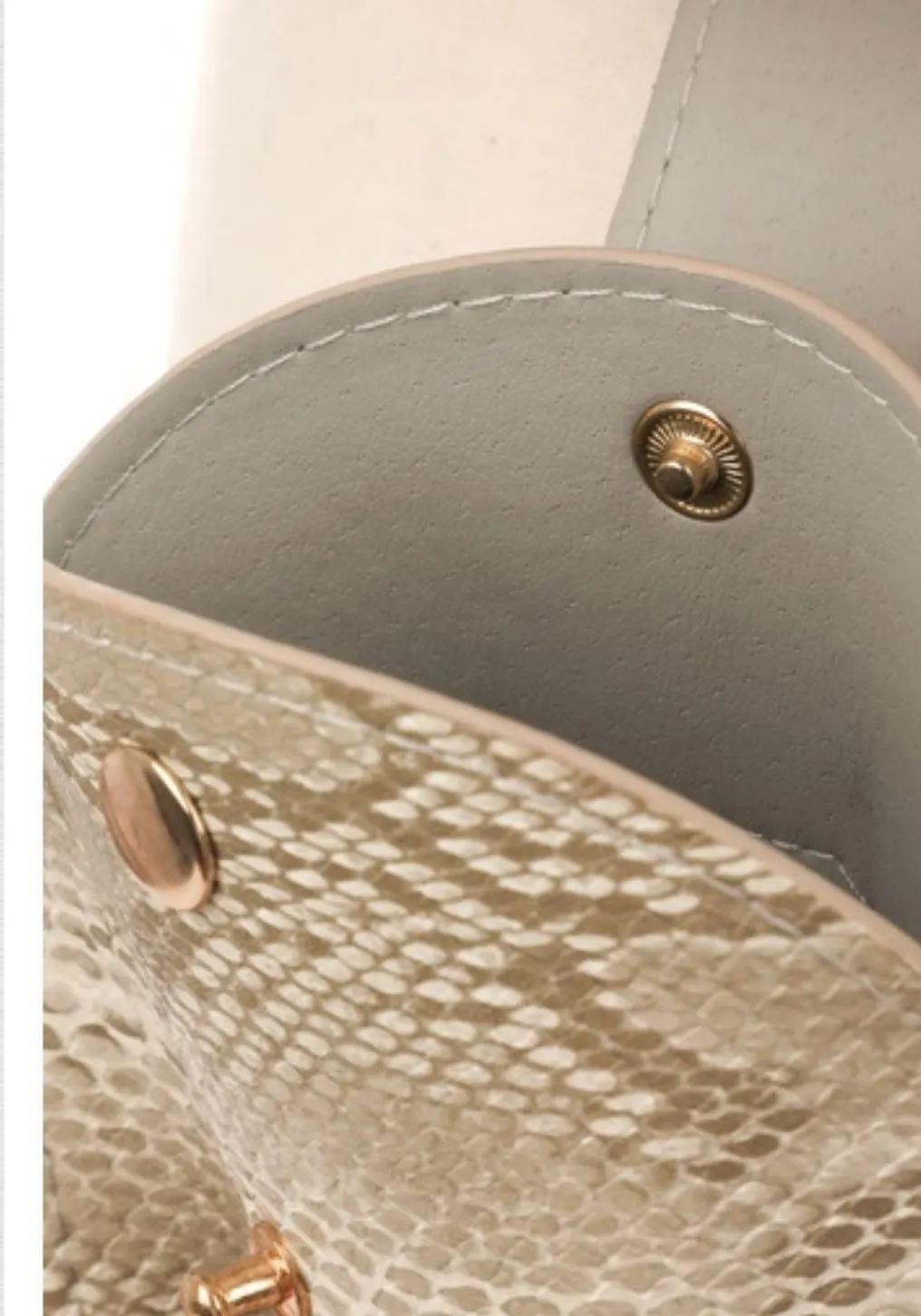 Snake Print Belt Bag