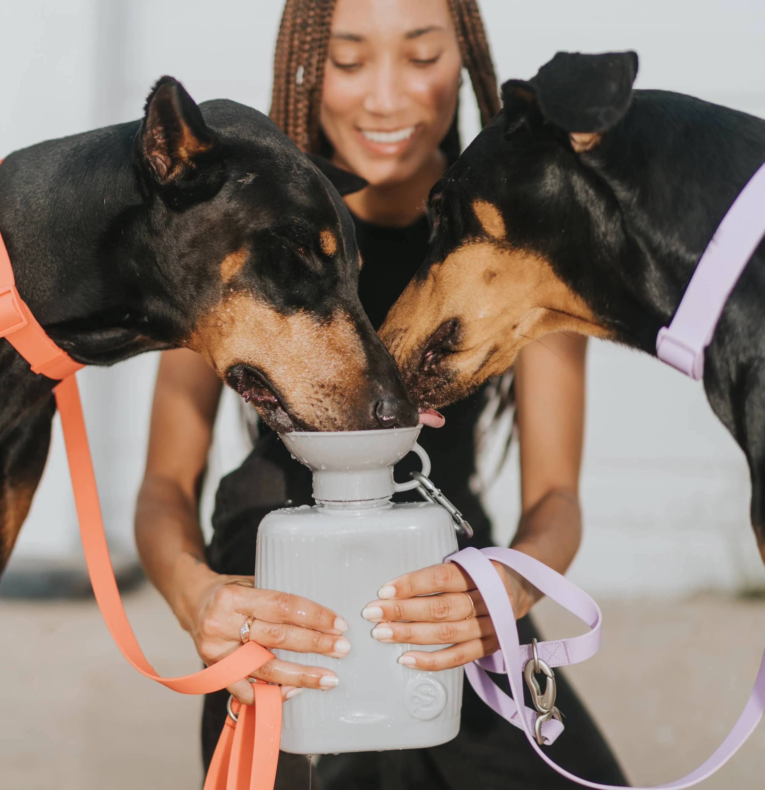 Springer - Dog Travel Water Bottle | Growler 44 oz