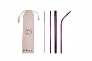 Stainless Steel Reusable Straw Set (Purple)