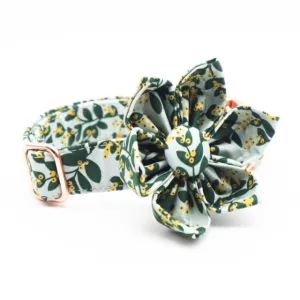 Summer Greens: Personalized Flower Collar And Leash Set
