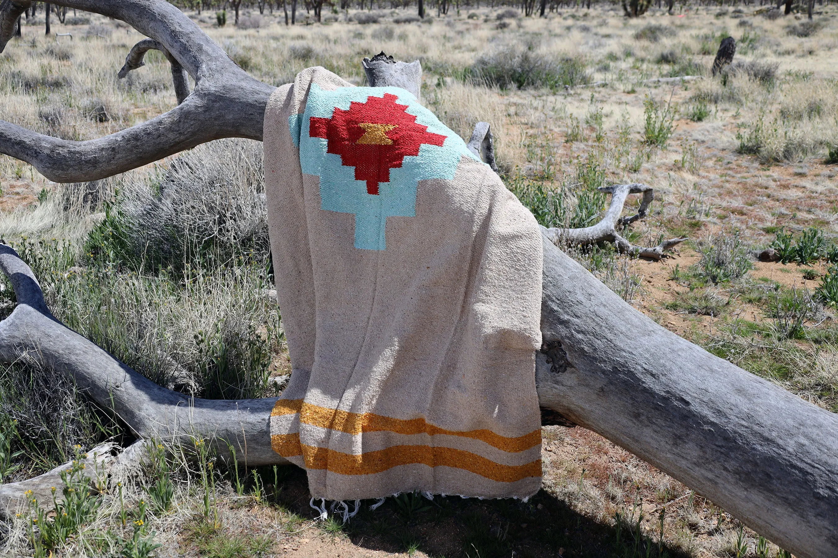 Taos Two (Mesa- Aqua) // Handwoven Blanket