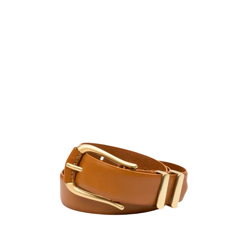 The Vives Belt in Desert