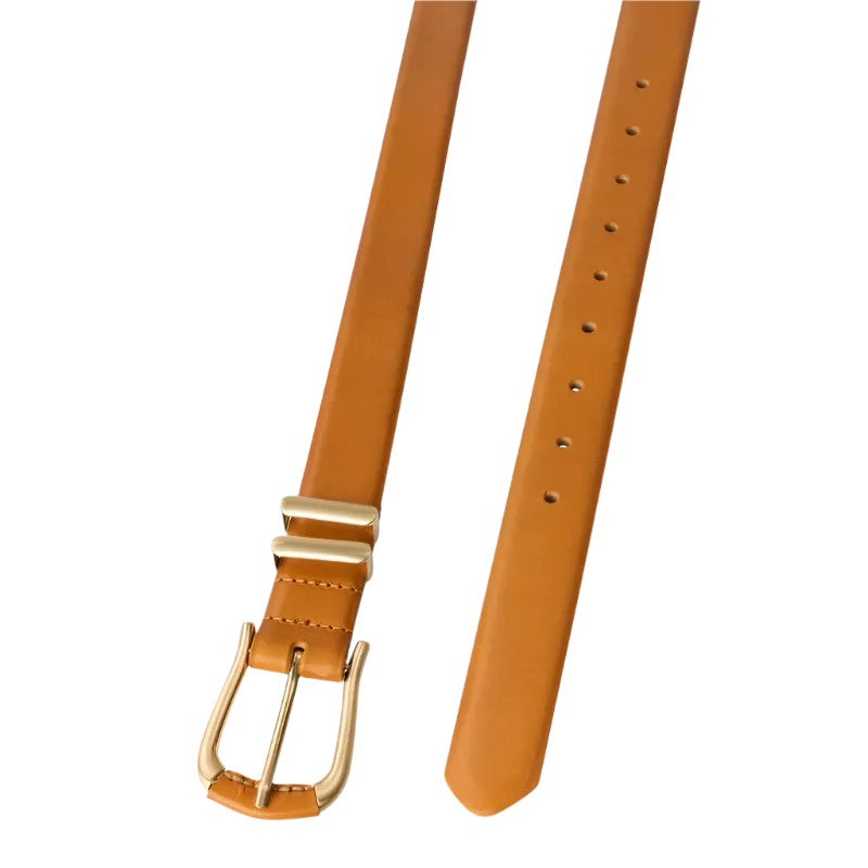 The Vives Belt in Desert