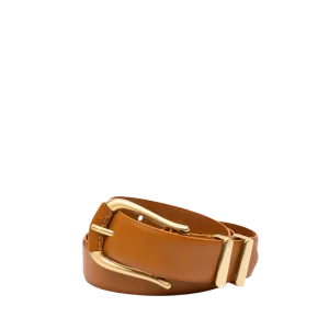 The Vives Belt in Desert