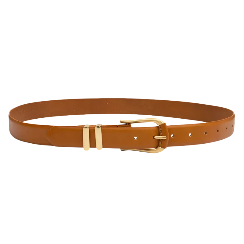 The Vives Belt in Desert