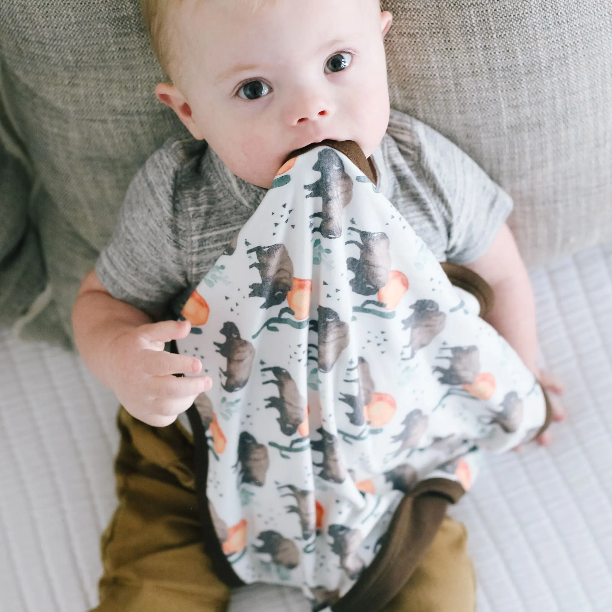 Three-Layer Security Blanket Set - Bison