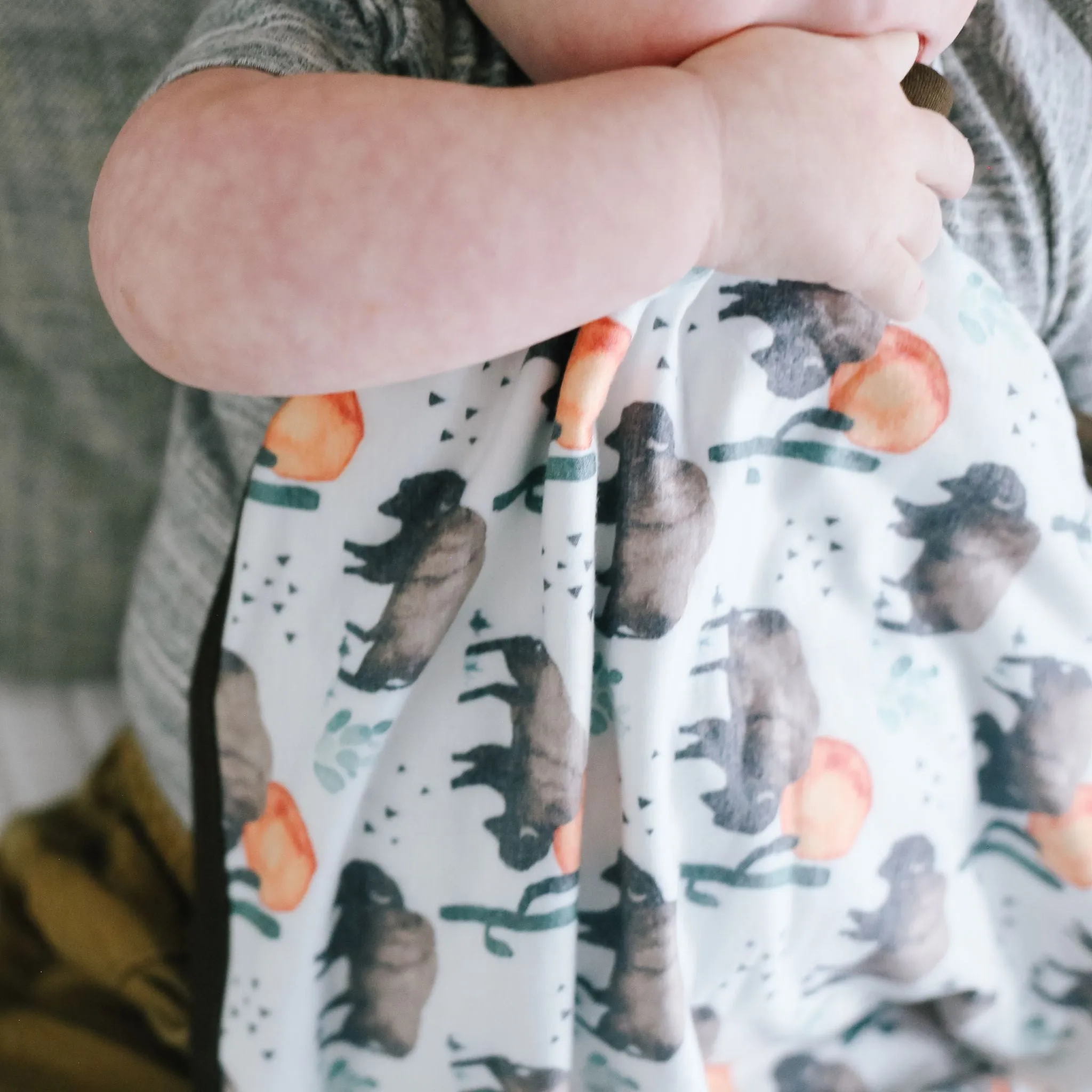 Three-Layer Security Blanket Set - Bison