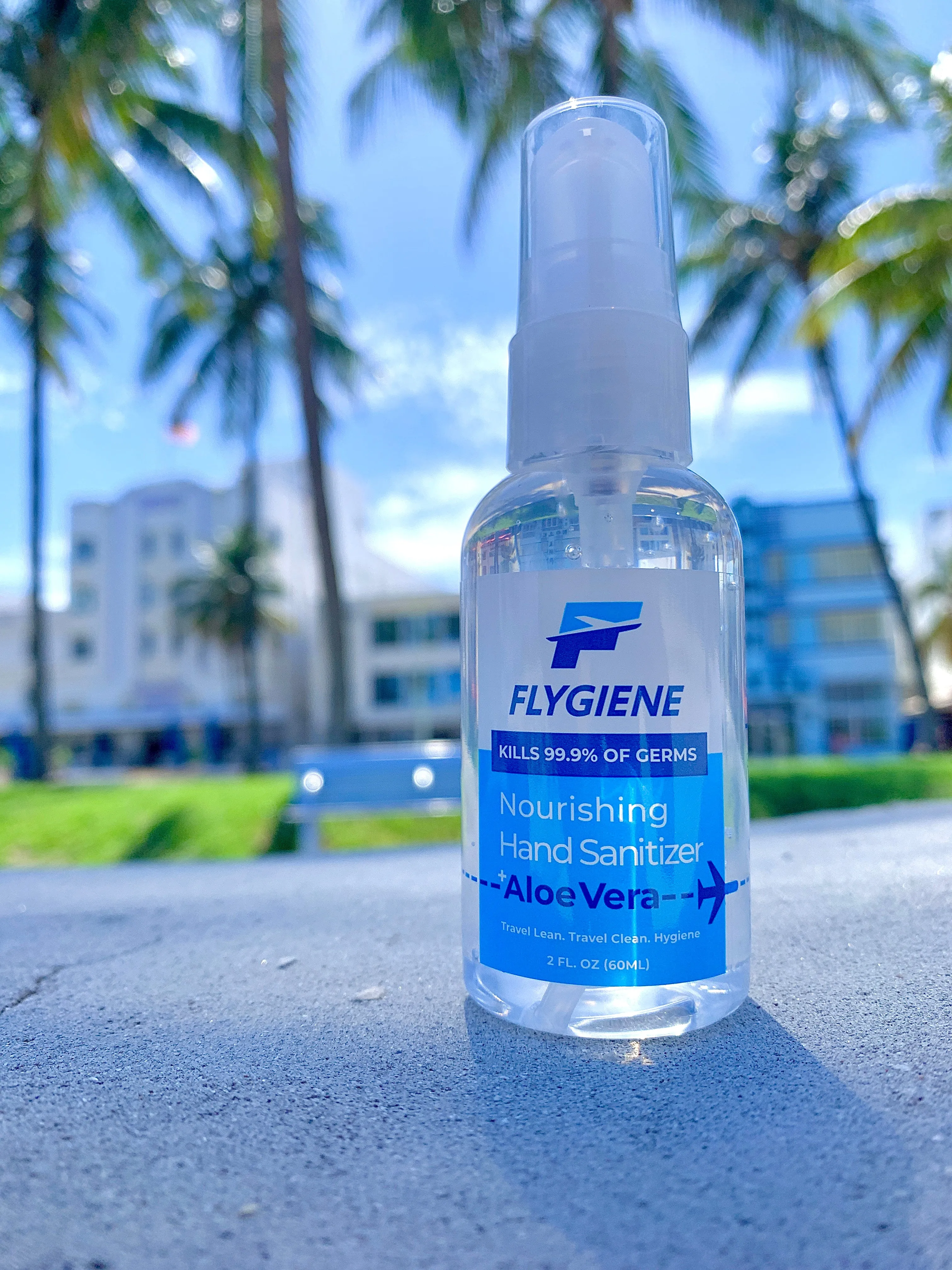 Travel Size Nourishing Hand Sanitizer Gel   Aloe Vera (2 oz)