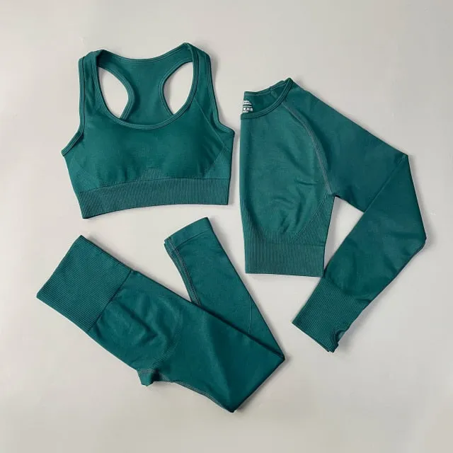Woman Gym Clothing shorts sets