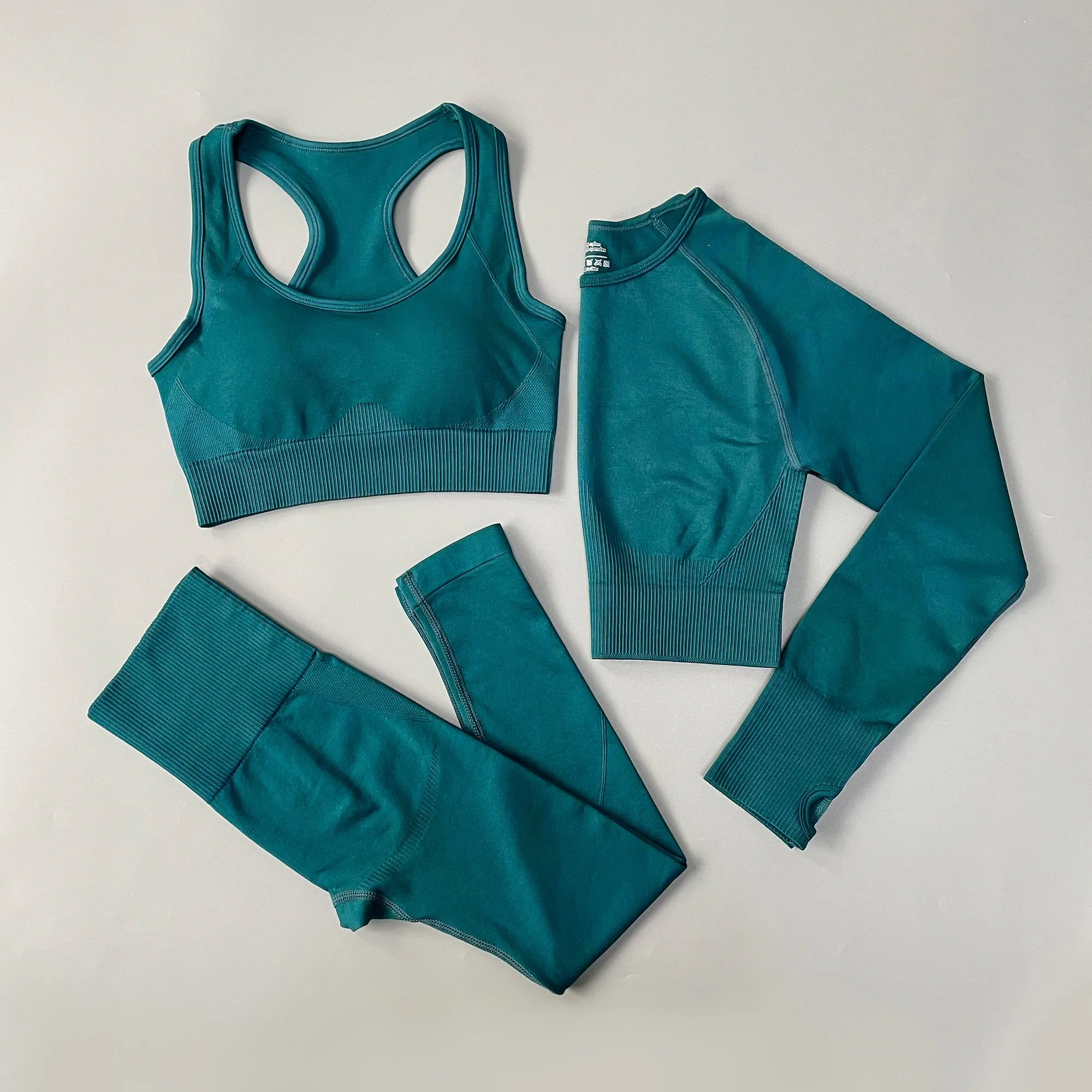 Woman Gym Clothing shorts sets